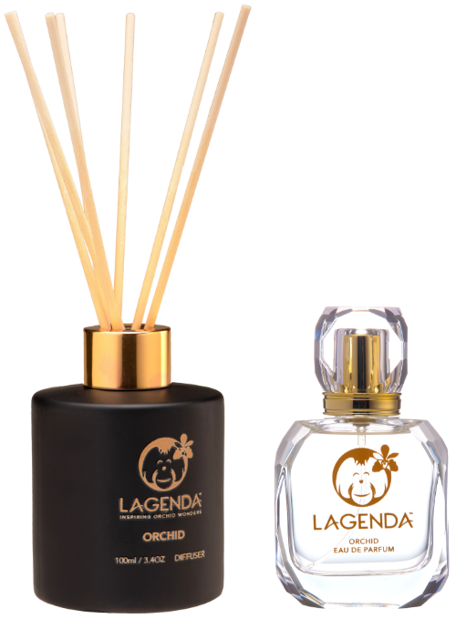 fragrance series